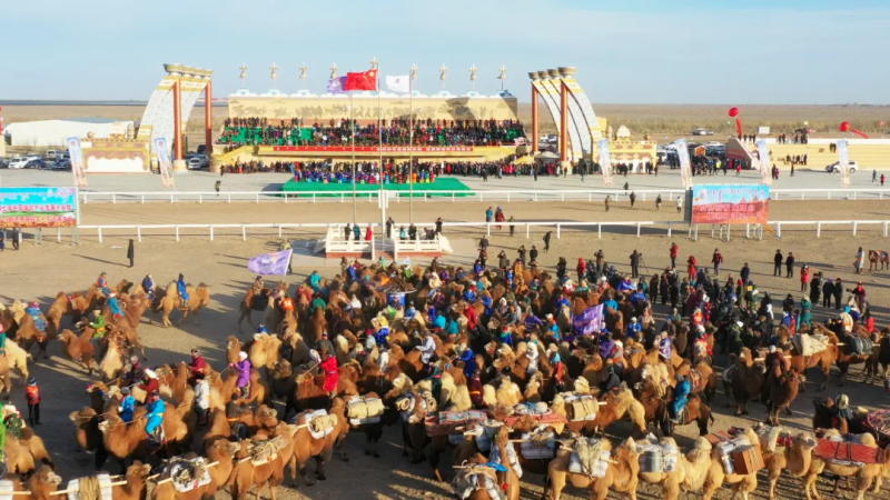 1744514169721624.jpg 640.jpg