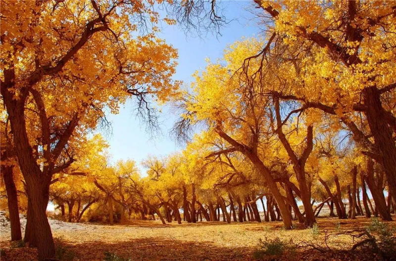 1744514412428849.jpg 640 (3).jpg